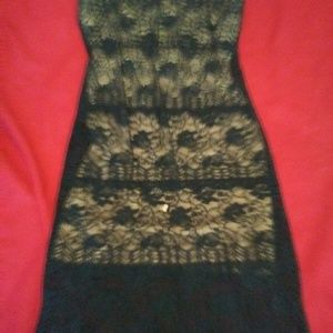 Vanity laced cocktail dress